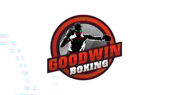 A Night of Professional Boxing