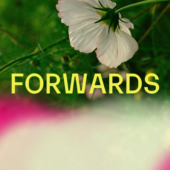 Forwards, United Kingdom, 2025