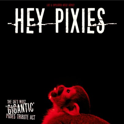 Hey Pixies