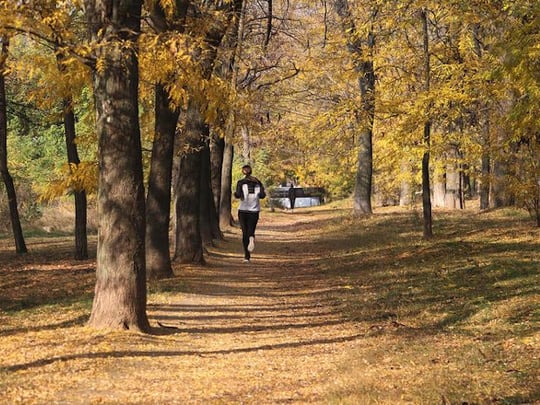 Person running in autumnal forest