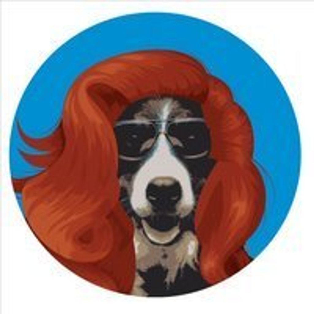 Hare of the Dog Comedy, United Kingdom, 2025