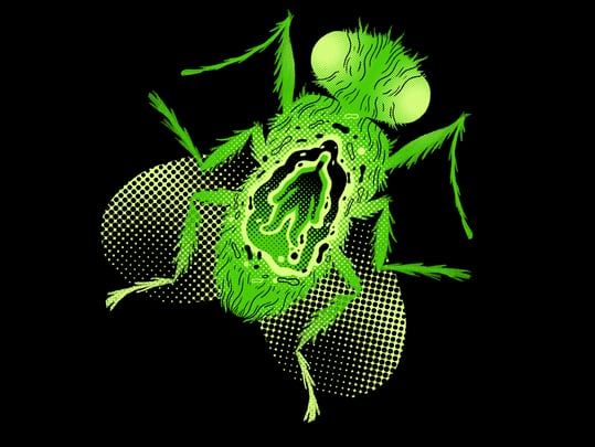 Dundead Horror Film Festival