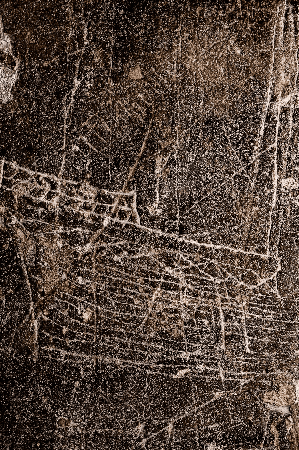 Specialist Tour: The Graffiti of Norwich Cathedral, United Kingdom, 2025