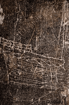 Specialist Tour: The Graffiti of Norwich Cathedral