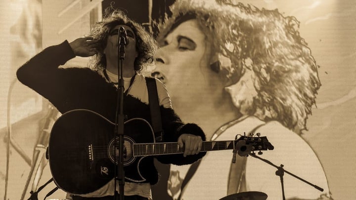 The Cureheads, Siouxsie and The Budgiees