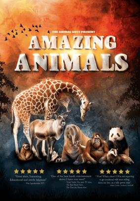 The Animal Guyz: Amazing Animals