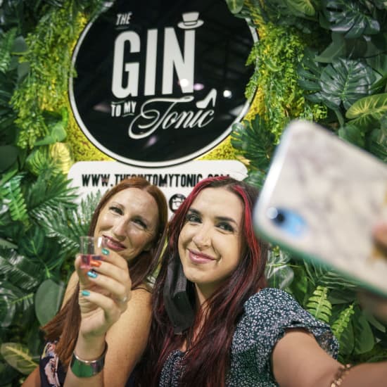The Gin To My Tonic Gin, Rum & Vodka Festival in Norwich, United Kingdom, 2025