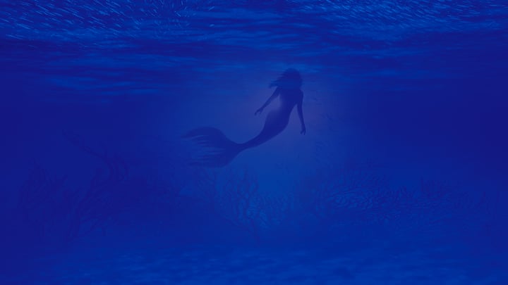 The Little Mermaid