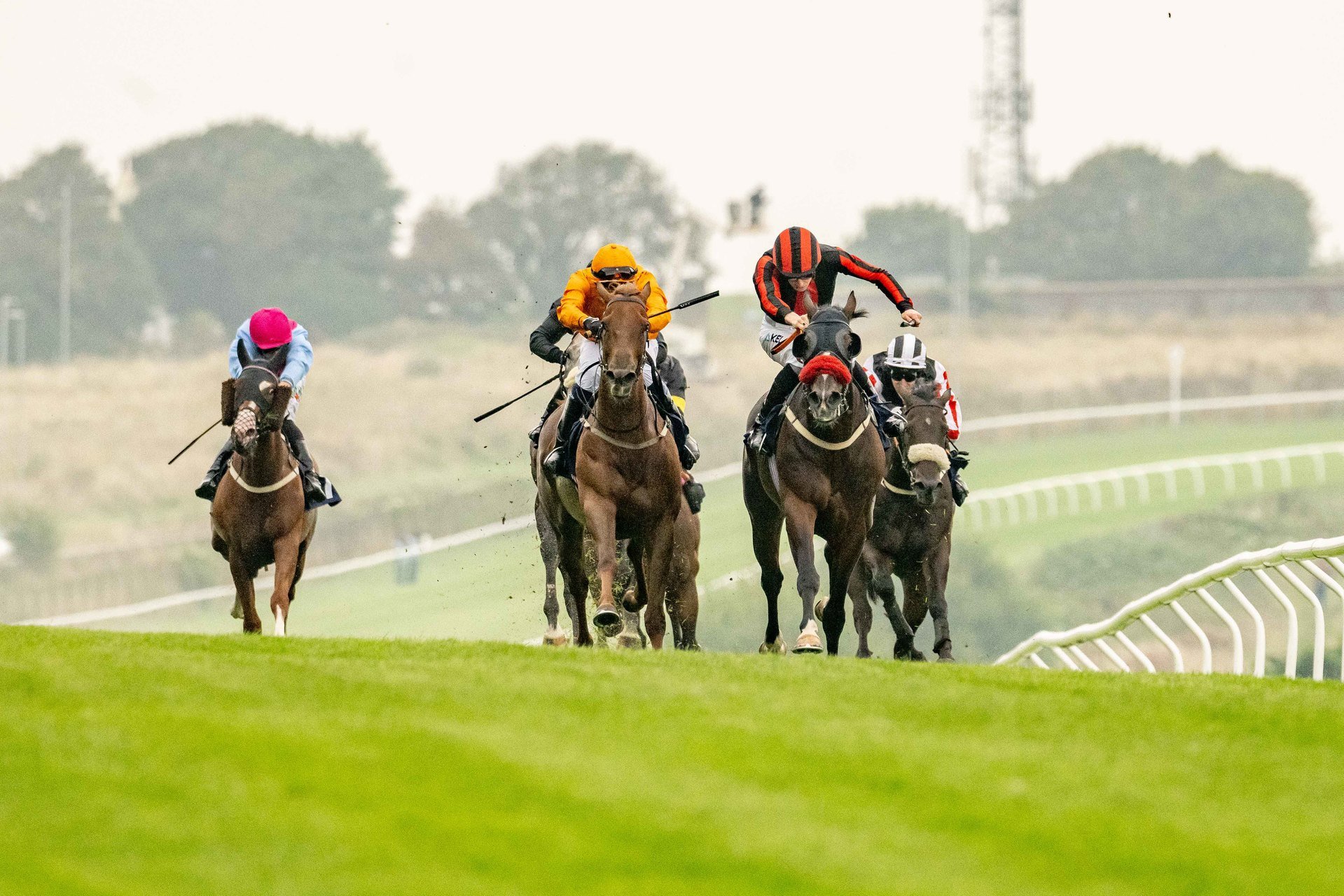 Summer Evening Racing, United Kingdom, 2025