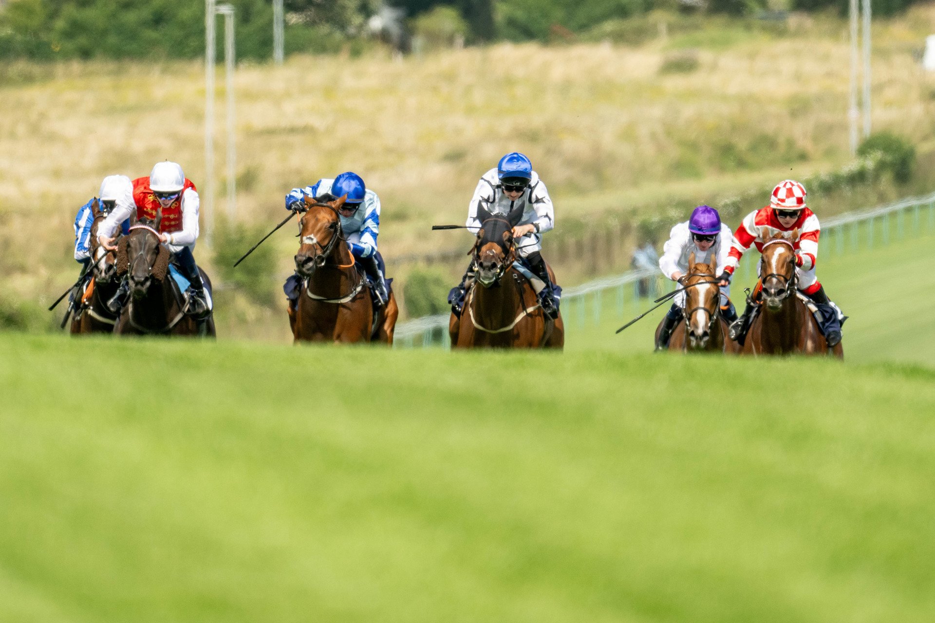 Festival of Racing 2025, United Kingdom, 2025