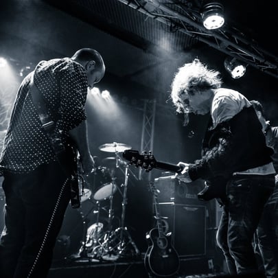 The Cureheads + Siouxsie & the Budgiees