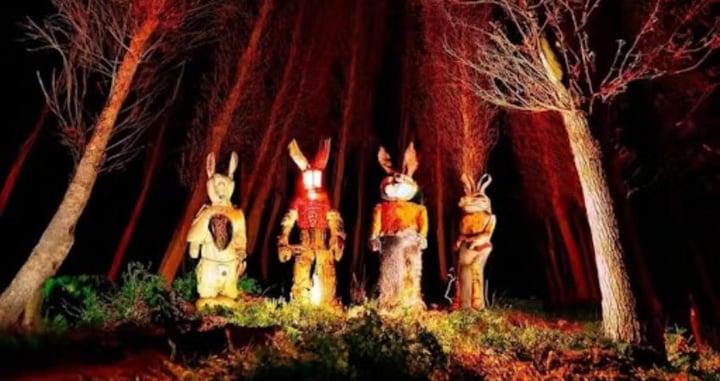 Echoes of the Bunnymen