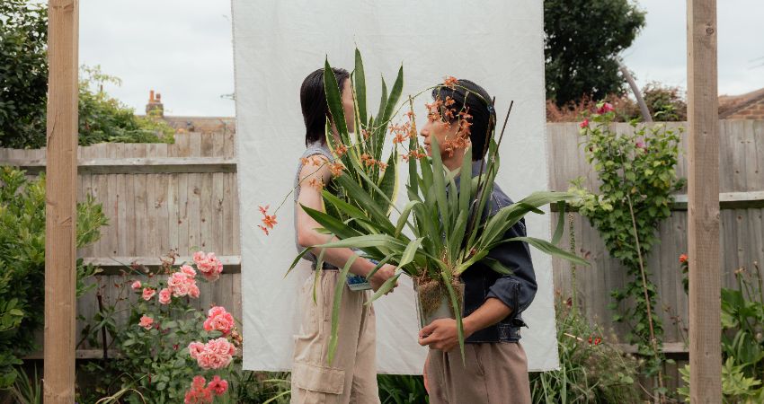 Two Plant Gaysians, United Kingdom, 2025