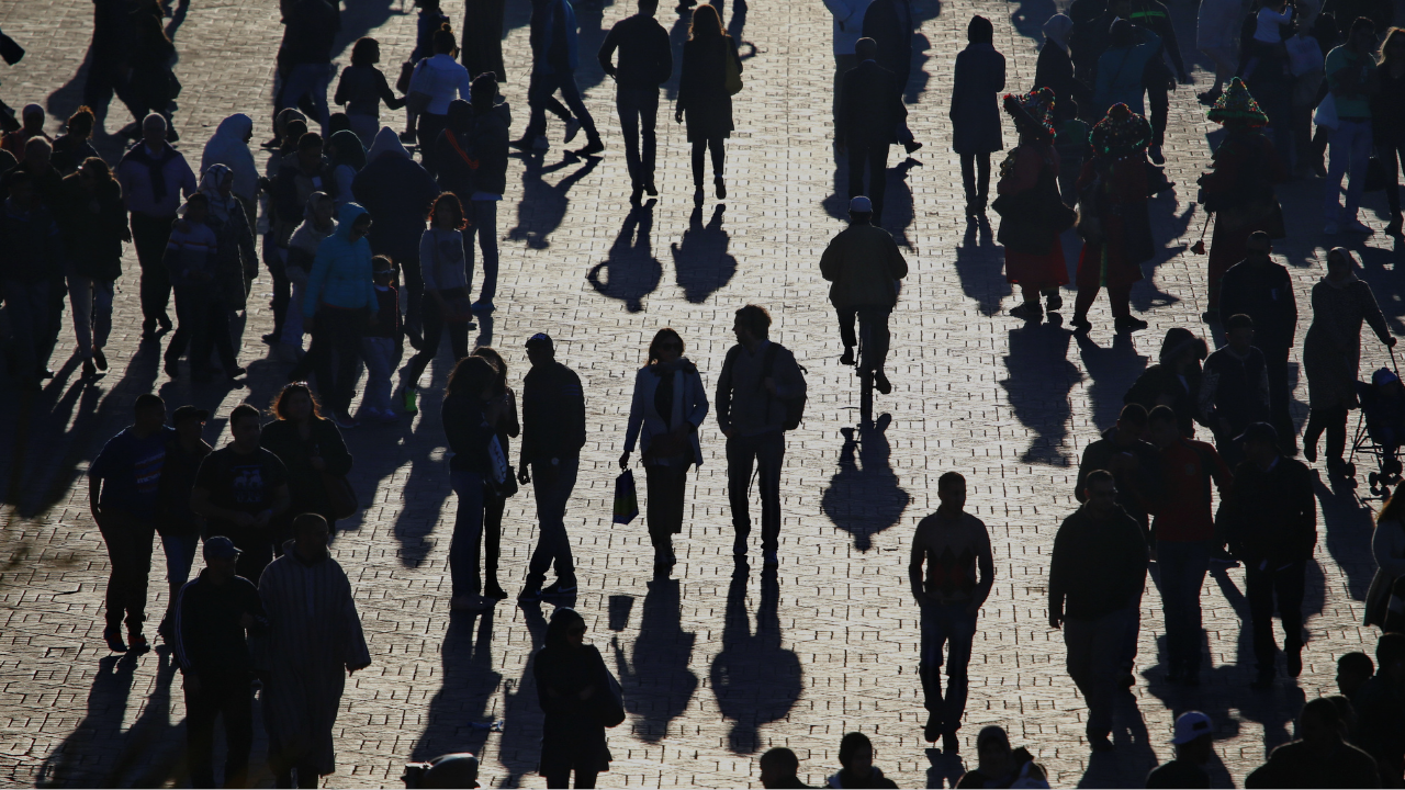 Reveal: Social Sciences, United Kingdom, 2025