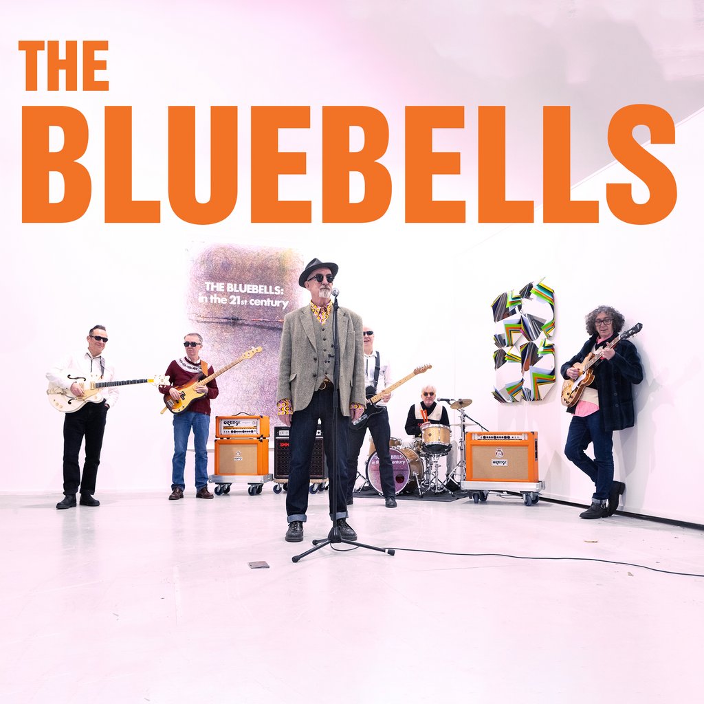 The Bluebells, United Kingdom, 2025