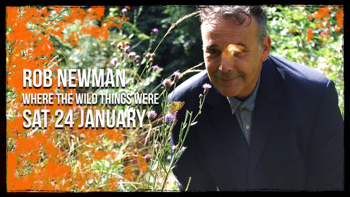 Rob Newman: Where The Wild Things Were
