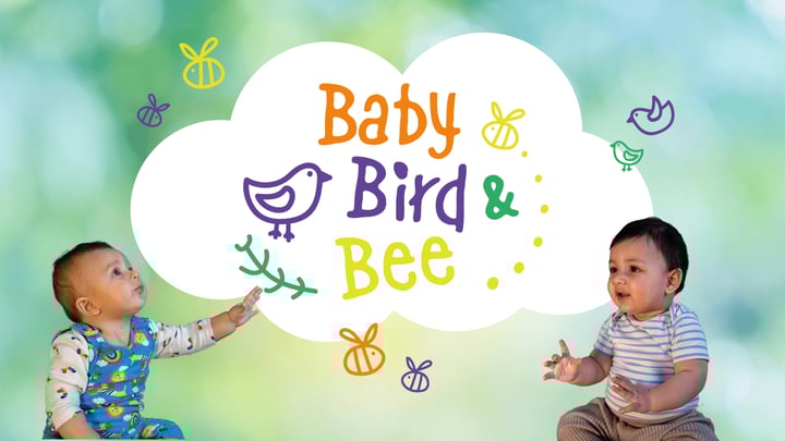 Baby, Bird & Bee