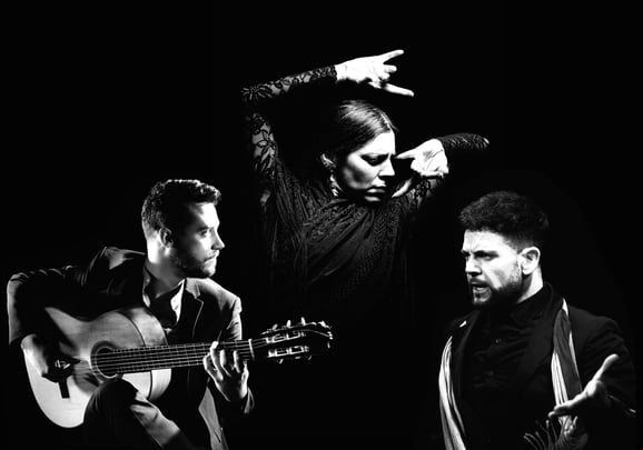 Art of Andalucia: Flamenco