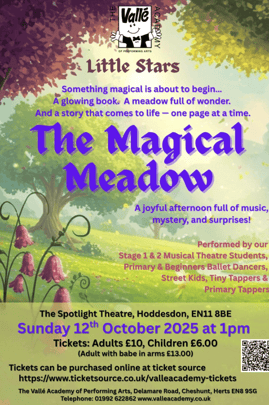 The Magical Meadow