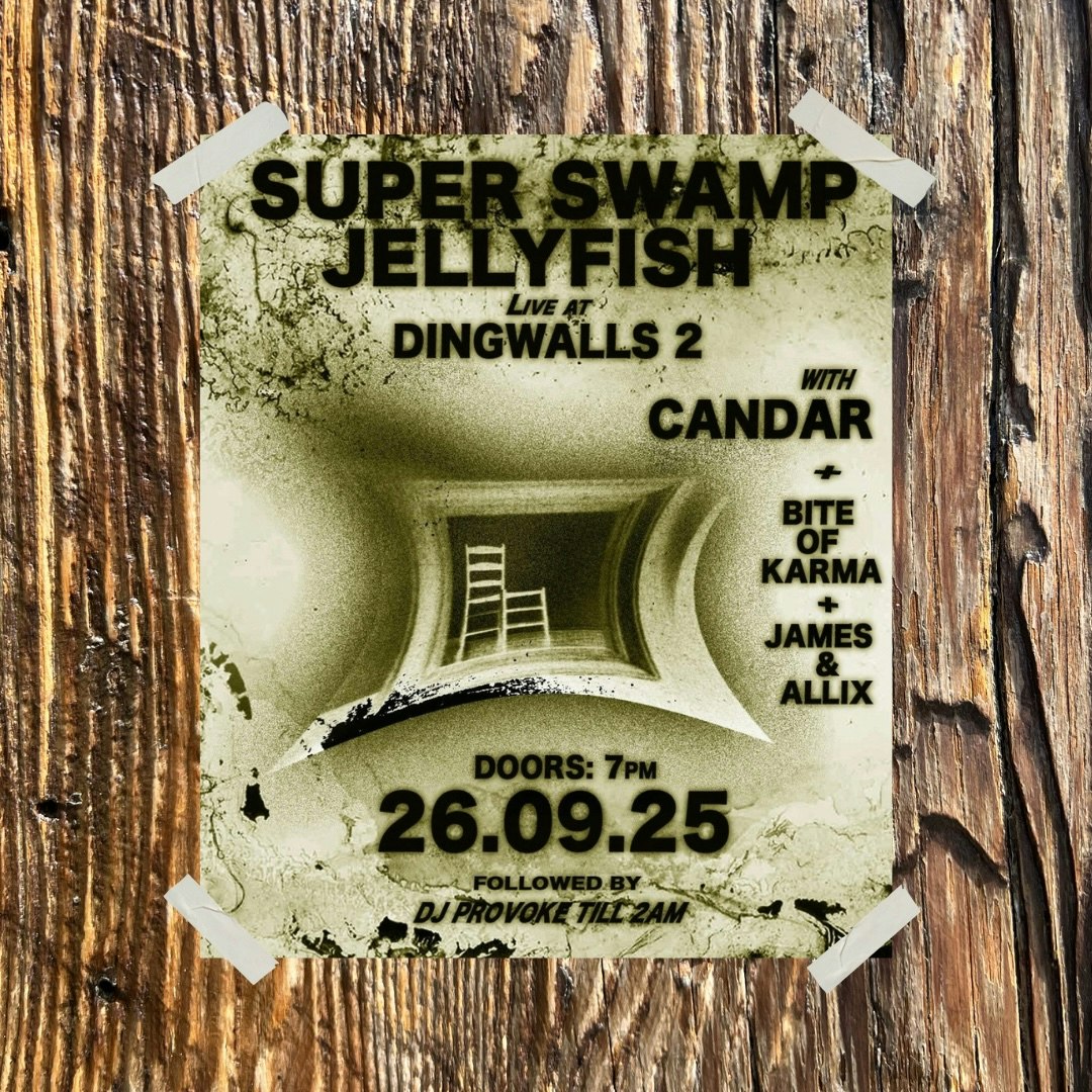 Super Swamp Jellyfish, United Kingdom, 2025