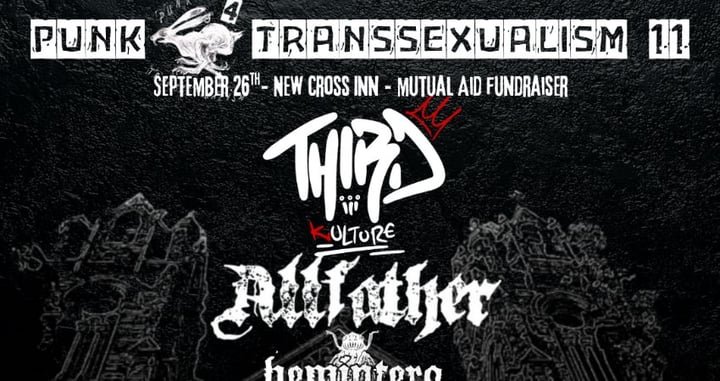 Punk 4 Transsexualism 11