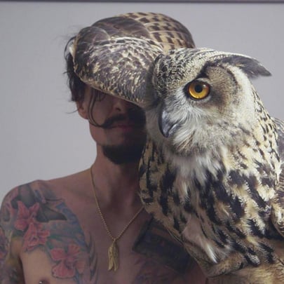 Justin Hawkins Rides Again...and Again