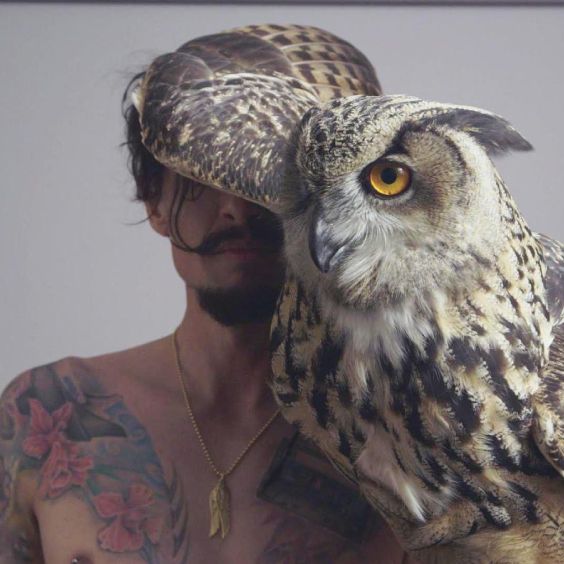 Justin Hawkins Rides Again...and Again, United Kingdom, 2026