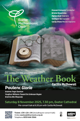 The Weather Book