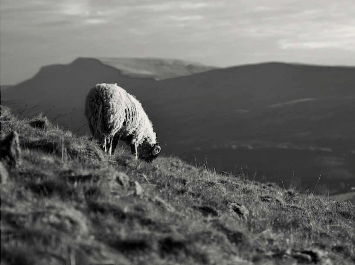 Craven Faults, United Kingdom, 2025