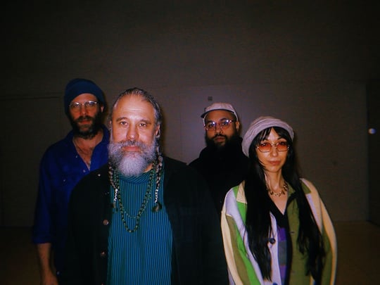 Natural Information Society