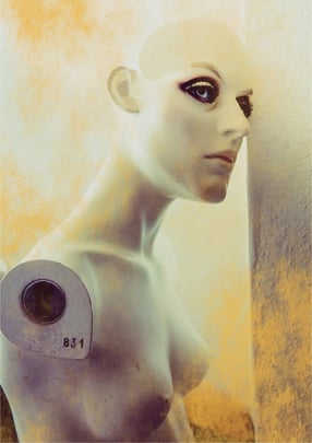 Malcolm Bruce: "fake Humans (and Real Dolls)"