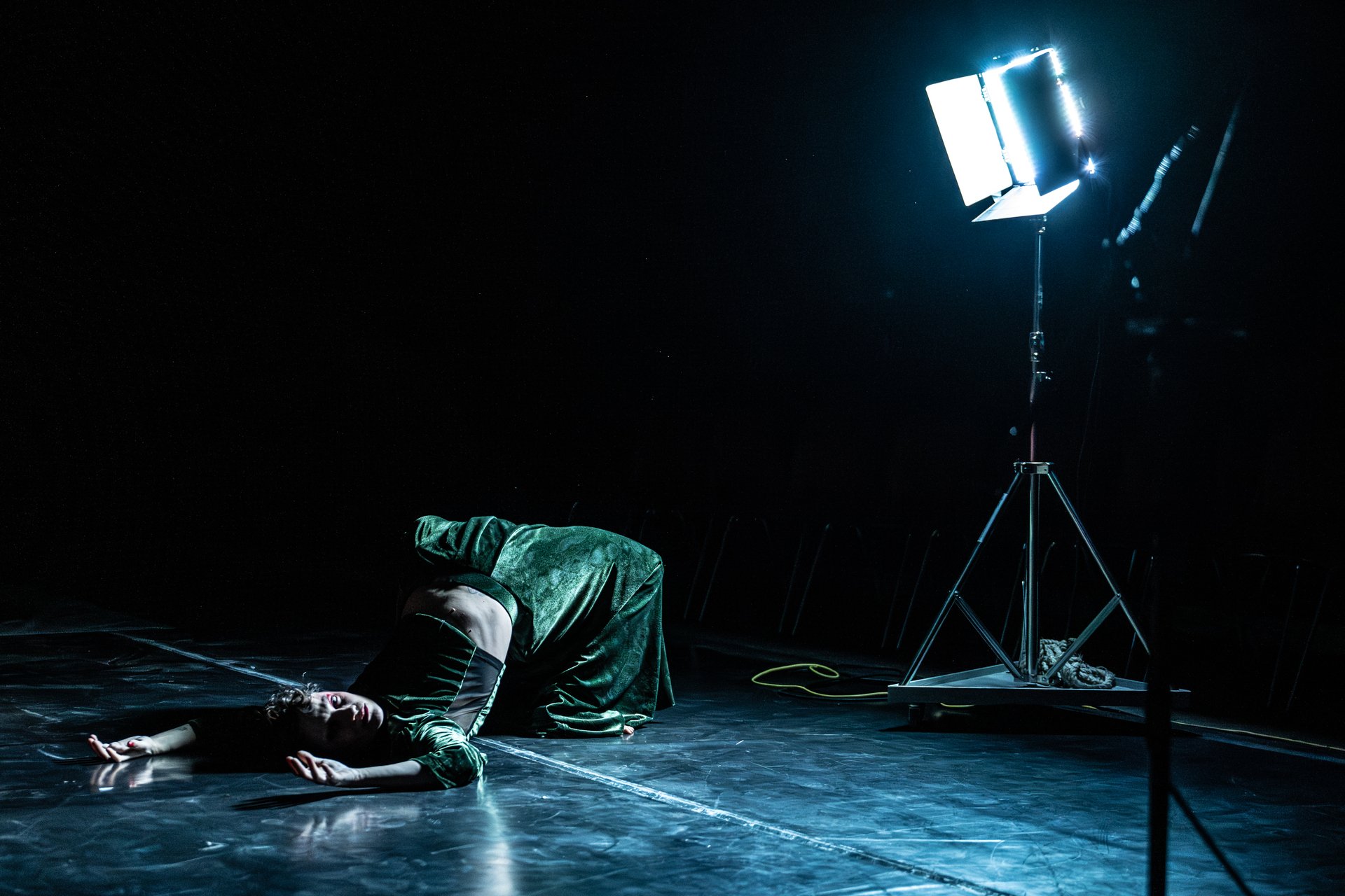 Circus City Presents: The Shedding by Elise Reine, United Kingdom, 2025