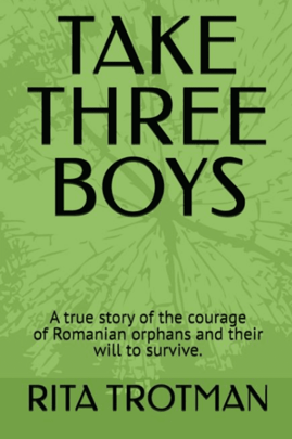 An Audience at the Palace - Take Three Boys Orphans Stories