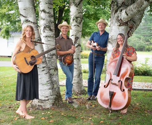 Foghorn Stringband (usa)