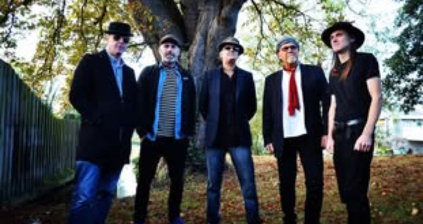 Split Whiskers, United Kingdom, 2026