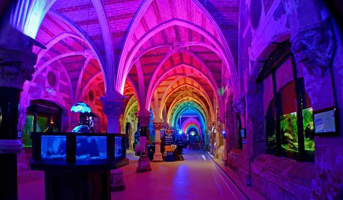 Cocktails & Canapés Under The Sea