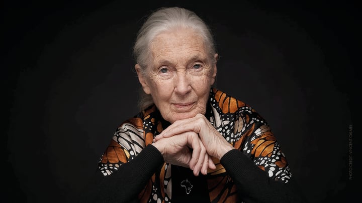 Dr. Jane Goodall: Remembered