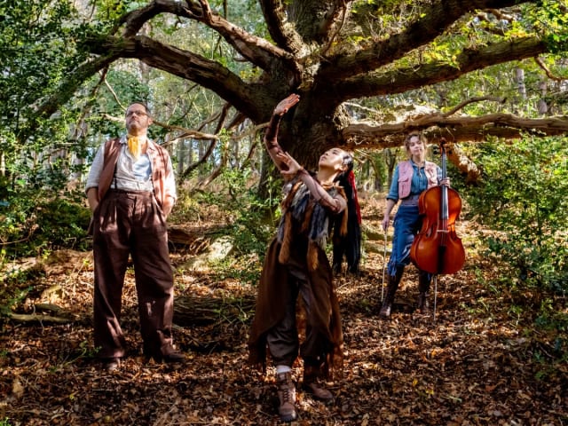 The Ancient Oak of Baldor, United Kingdom, 2025