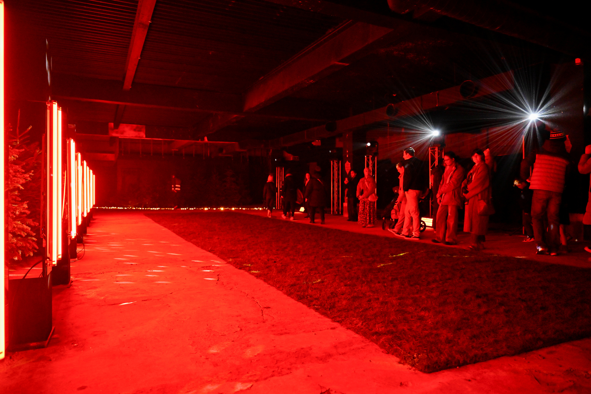 Northern Lights Dumfries, United Kingdom, 2026