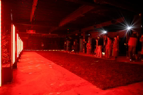 Northern Lights Dumfries