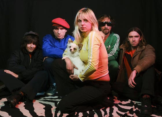 Special Guest, Y, Sunspells