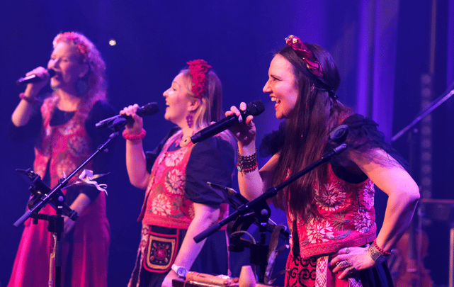 Värttinä and Support