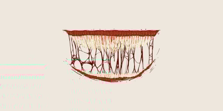 The Psychology Of Horror Movies