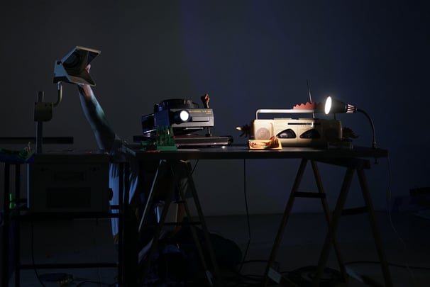 Extinct Objects - Ecological Performance for Children