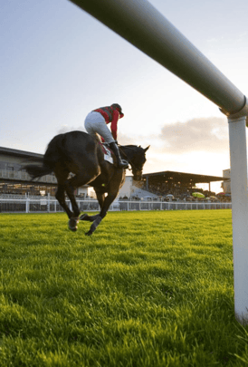 Day at the Races Newbury Racecourse