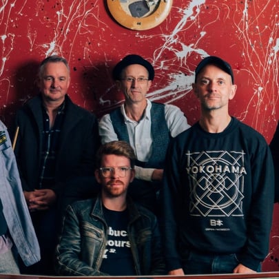 Peatbog Faeries