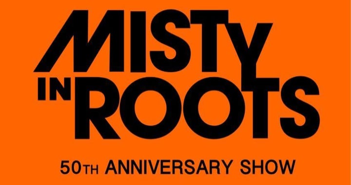 Misty In Roots
