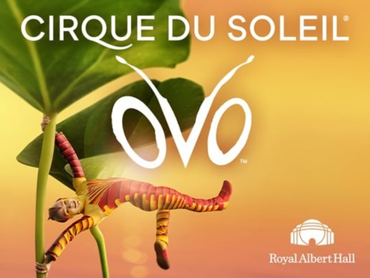 Cirque du Soleil: OVO