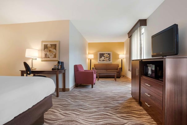 King Jetted Tub Sofa Bed