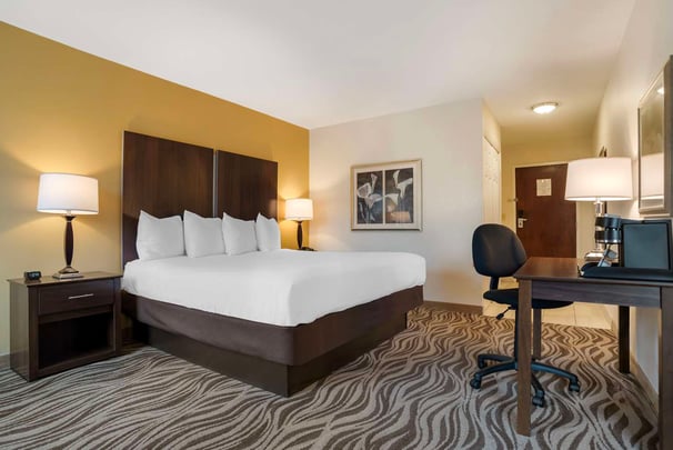 King Jetted Tub Sofa Bed